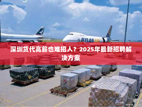 深圳货代高薪也难招人？2025年最新招聘解决方案
