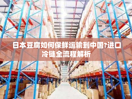 日本豆腐如何保鲜运输到中国?进口冷链全流程解析