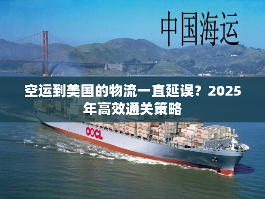 空运到美国的物流一直延误？2025年高效通关策略