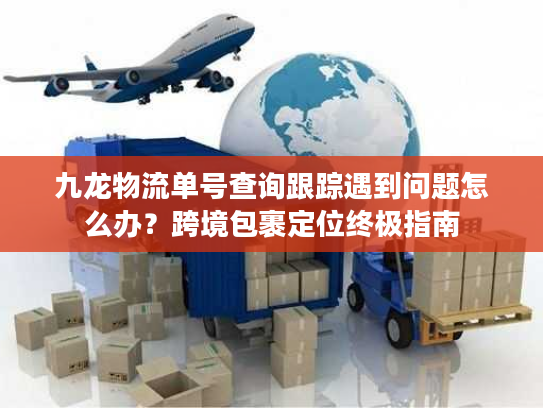 九龙物流单号查询跟踪遇到问题怎么办？跨境包裹定位终极指南