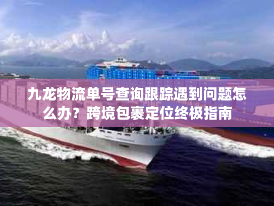九龙物流单号查询跟踪遇到问题怎么办？跨境包裹定位终极指南