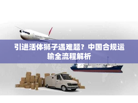 引进活体狮子遇难题？中国合规运输全流程解析