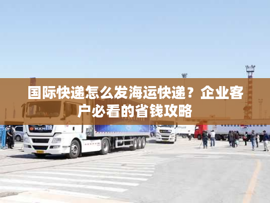 国际快递怎么发海运快递？企业客户必看的省钱攻略