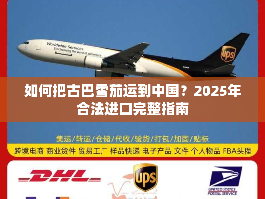 如何把古巴雪茄运到中国？2025年合法进口完整指南