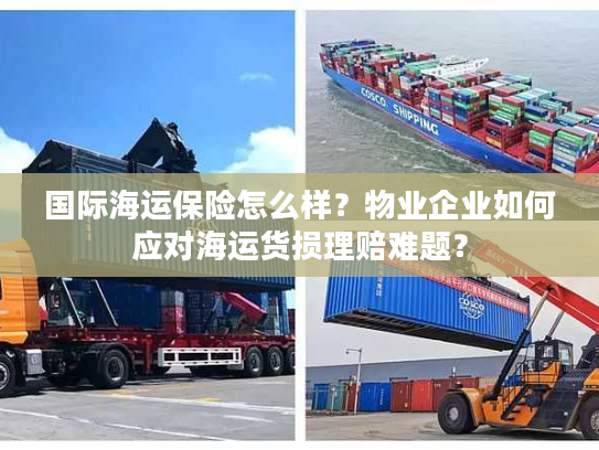 国际海运保险怎么样？物业企业如何应对海运货损理赔难题？