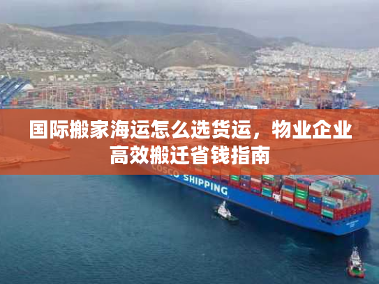 国际搬家海运怎么选货运，物业企业高效搬迁省钱指南