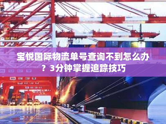 宝悦国际物流单号查询不到怎么办？3分钟掌握追踪技巧