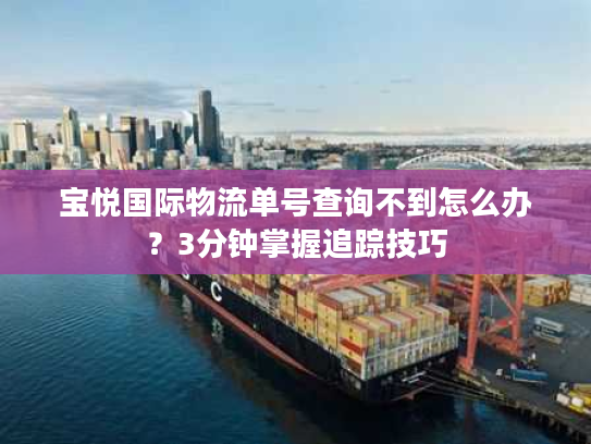 宝悦国际物流单号查询不到怎么办？3分钟掌握追踪技巧