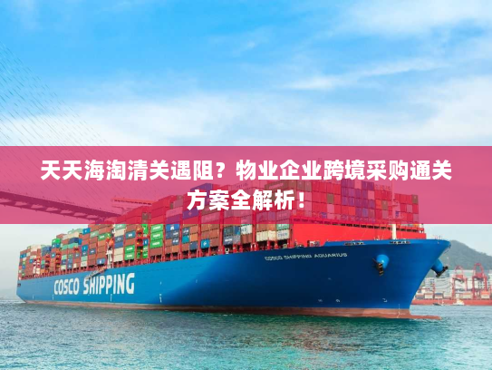 天天海淘清关遇阻?物业企业跨境采购通关方案全解析! 天天海淘清关遇阻?物业企业跨境采购通关方案全解析!