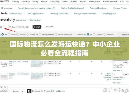 国际物流怎么发海运快递？中小企业必看全流程指南