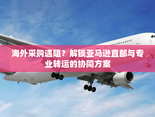 海外采购遇阻?解锁亚马逊直邮与专业转运的协同方案 海外采购遇阻?解锁亚马逊直邮与专业转运的协同方案