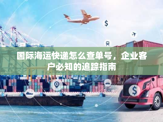 国际海运快递怎么查单号，企业客户必知的追踪指南