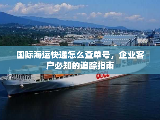 国际海运快递怎么查单号，企业客户必知的追踪指南