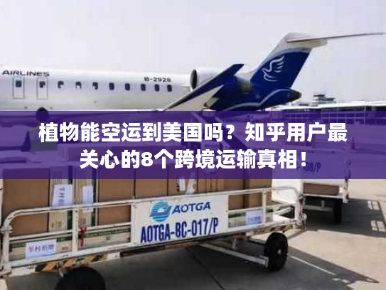 植物能空运到美国吗？知乎用户最关心的8个跨境运输真相！