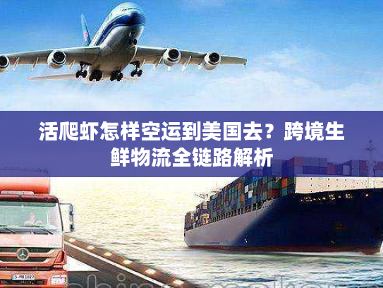 活爬虾怎样空运到美国去？跨境生鲜物流全链路解析
