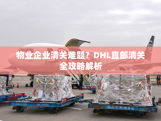 物业企业清关难题？DHL直邮清关全攻略解析