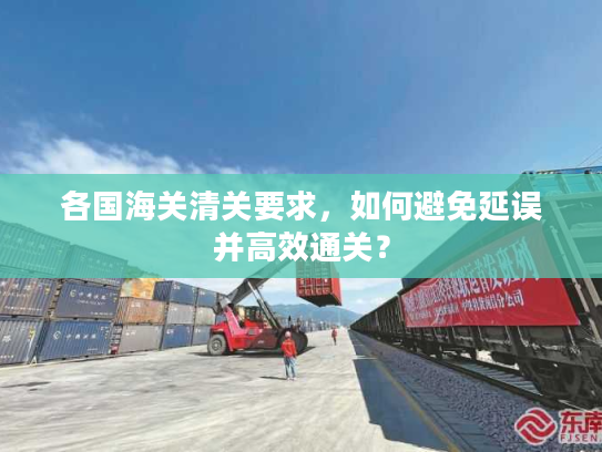 各国海关清关要求，如何避免延误并高效通关？