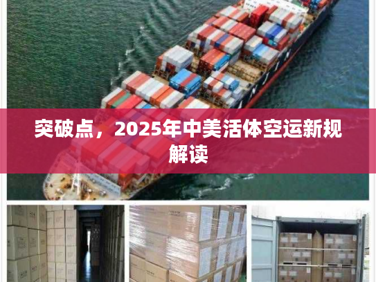 突破点，2025年中美活体空运新规解读