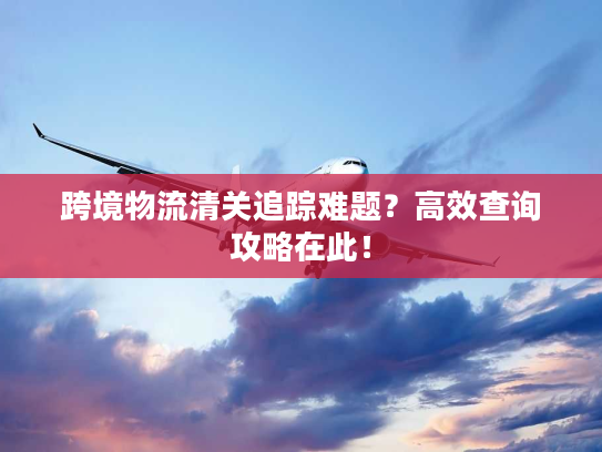 跨境物流清关追踪难题？高效查询攻略在此！
