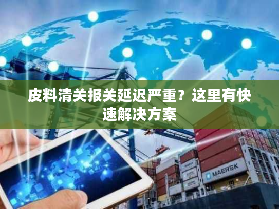 皮料清关报关延迟严重？这里有快速解决方案