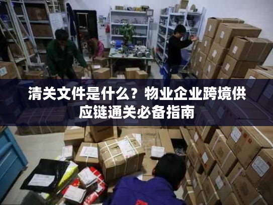 清关文件是什么？物业企业跨境供应链通关必备指南