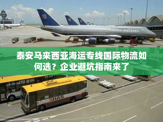 泰安马来西亚海运专线国际物流如何选？企业避坑指南来了