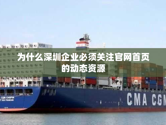 为什么深圳企业必须关注官网首页的动态资源