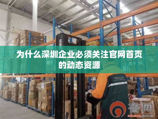 为什么深圳企业必须关注官网首页的动态资源