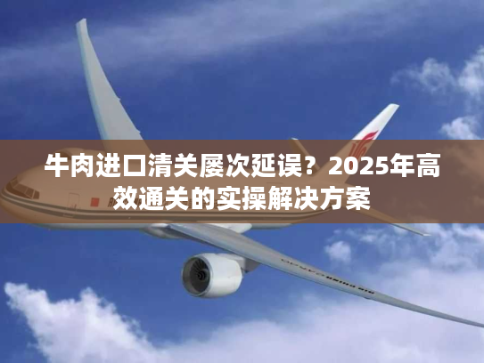 牛肉进口清关屡次延误？2025年高效通关的实操解决方案