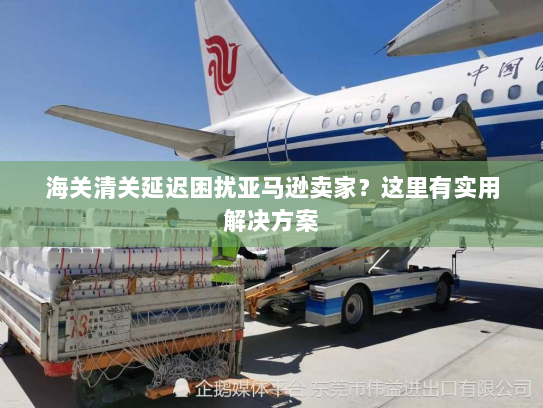 海关清关延迟困扰亚马逊卖家？这里有实用解决方案