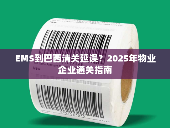 EMS到巴西清关延误？2025年物业企业通关指南