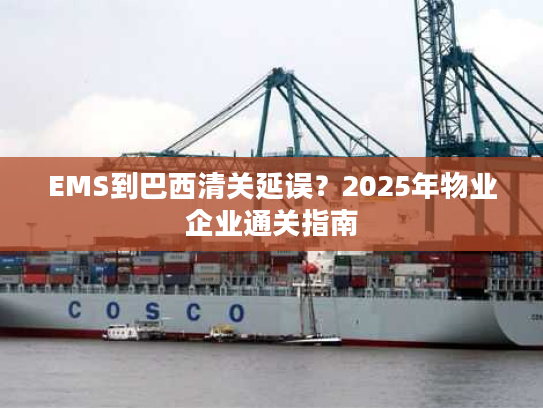 EMS到巴西清关延误？2025年物业企业通关指南