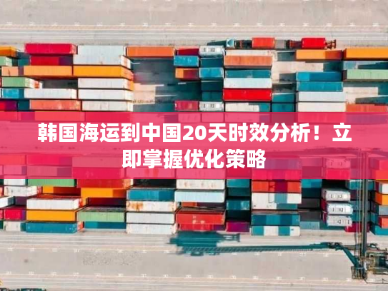 韩国海运到中国20天时效分析！立即掌握优化策略