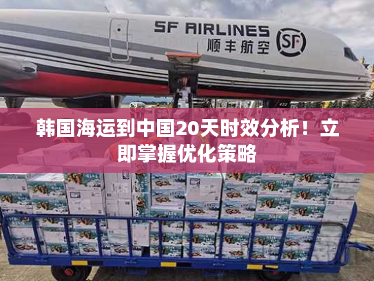 韩国海运到中国20天时效分析！立即掌握优化策略