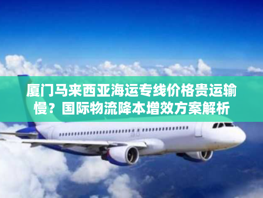 厦门马来西亚海运专线价格贵运输慢？国际物流降本增效方案解析