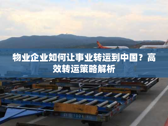 物业企业如何让事业转运到中国？高效转运策略解析