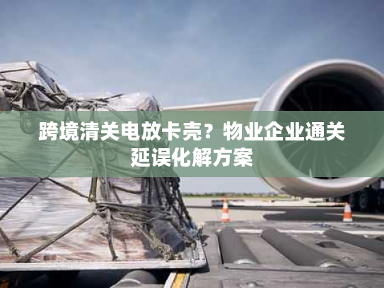 跨境清关电放卡壳？物业企业通关延误化解方案