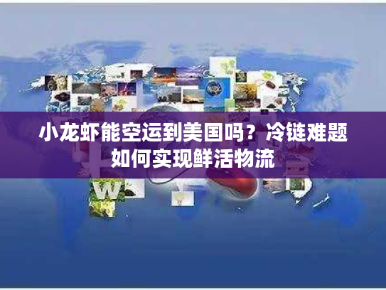 小龙虾能空运到美国吗？冷链难题如何实现鲜活物流