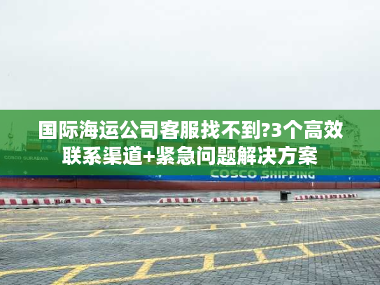 国际海运公司客服找不到?3个高效联系渠道+紧急问题解决方案 国际海运公司客服找不到?3个高效联系渠道+紧急问题解决方案