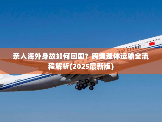 亲人海外身故如何回国？跨境遗体运输全流程解析(2025最新版)