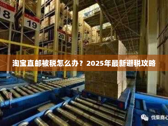 淘宝直邮被税怎么办?2025年最新避税攻略 淘宝直邮被税怎么办?2025年最新避税攻略