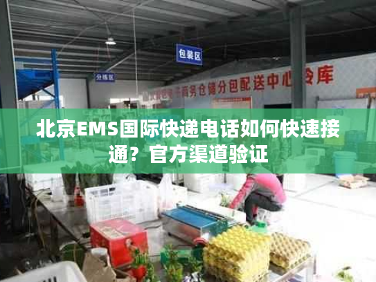 北京EMS国际快递电话如何快速接通？官方渠道验证