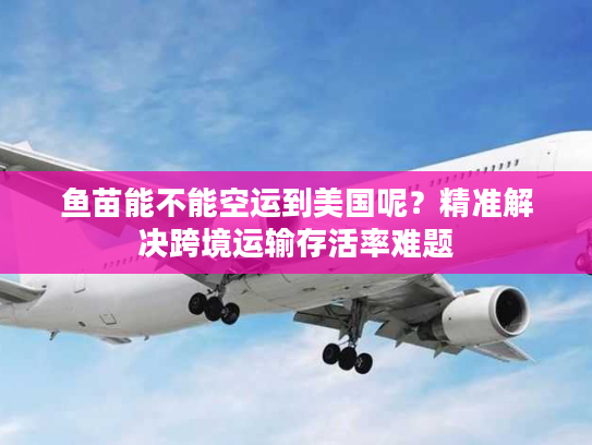 鱼苗能不能空运到美国呢？精准解决跨境运输存活率难题