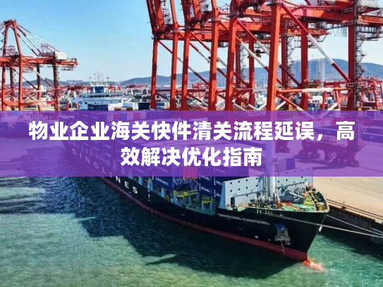 物业企业海关快件清关流程延误，高效解决优化指南