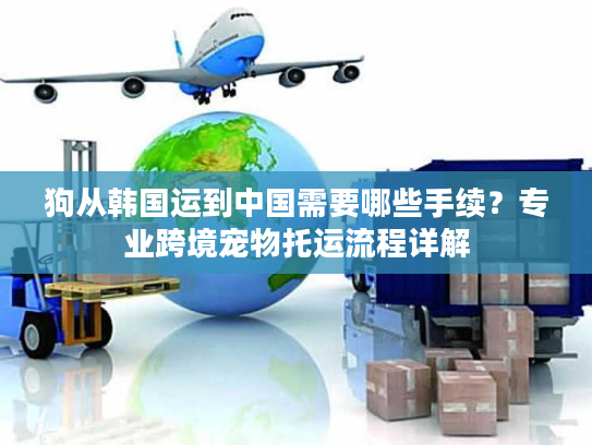 狗从韩国运到中国需要哪些手续？专业跨境宠物托运流程详解