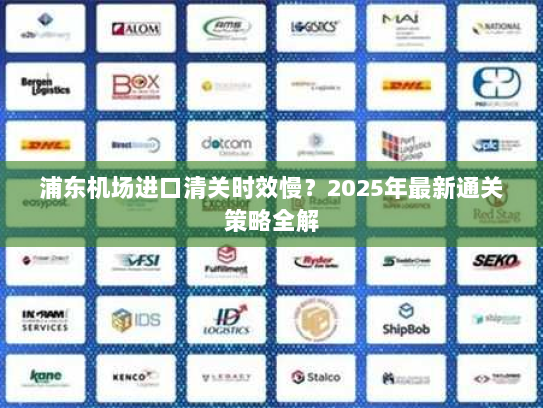 浦东机场进口清关时效慢？2025年最新通关策略全解