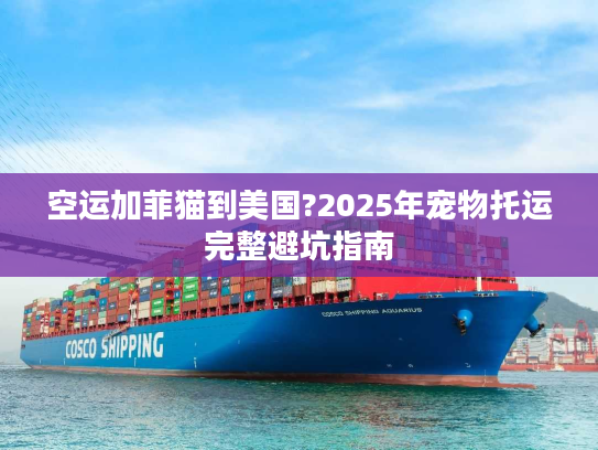 空运加菲猫到美国?2025年宠物托运完整避坑指南