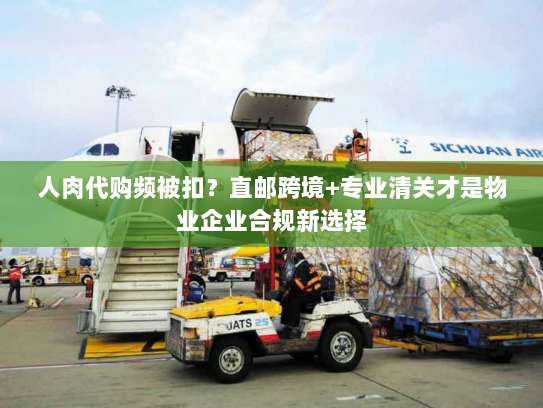 人肉代购频被扣?直邮跨境+专业清关才是物业企业合规新选择 人肉代购频被扣?直邮跨境+专业清关才是物业企业合规新选择