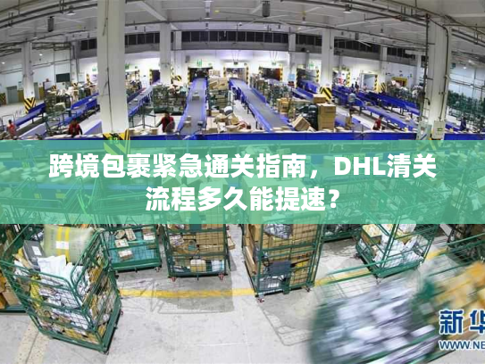跨境包裹紧急通关指南，DHL清关流程多久能提速？
