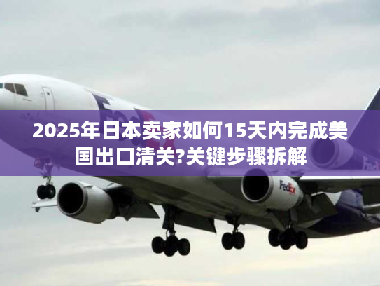 2025年日本卖家如何15天内完成美国出口清关?关键步骤拆解